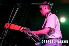 20191011-APRE-Castle-and-Falcon-016