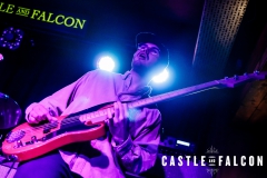 20191011-APRE-Castle-and-Falcon-033