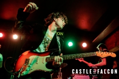 20191011-Inhaler-Castle-and-Falcon-009