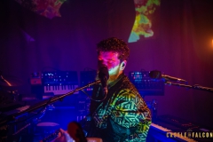 Jack_Garratt_Castle_And_Falcon_2202202000057