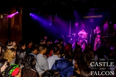 20180310-Mahalia-Castle-and-Falcon-10032018-153