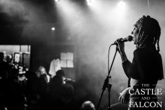 20180310-Mahalia-Castle-and-Falcon-10032018-164