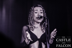 20180310-Mahalia-Castle-and-Falcon-10032018-174