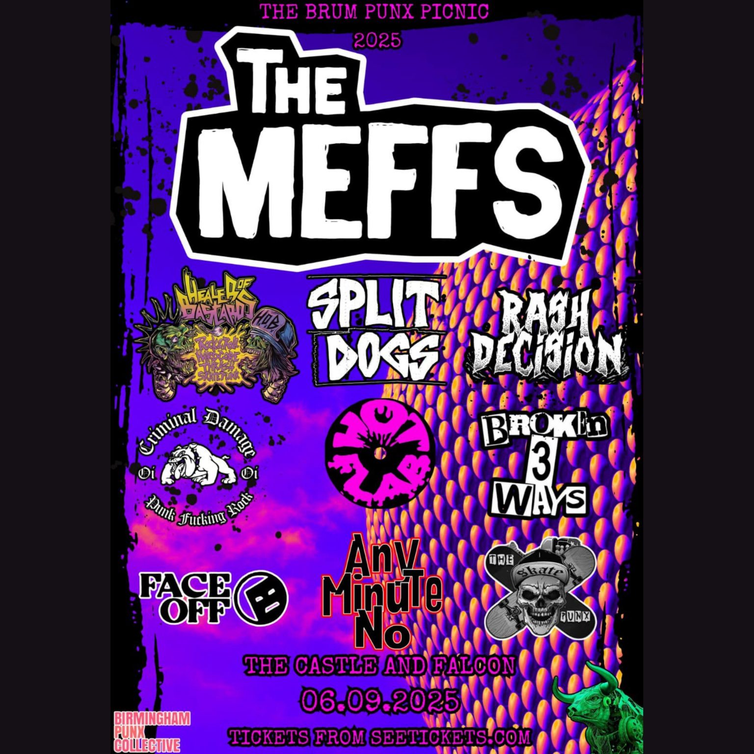 Brum Punx Picnic 2025